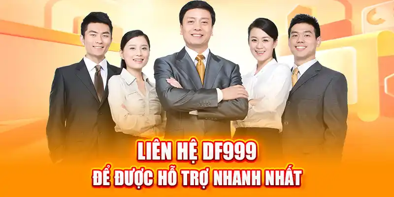 liên hệ DF999