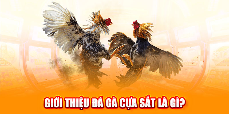 đá gà cựa sắt