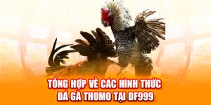 đá gà thomo