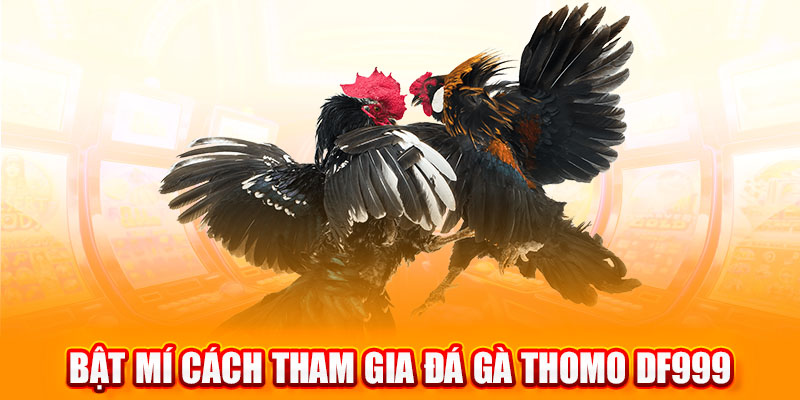 đá gà thomo